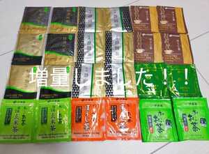 お茶 ティーバッグ 70点