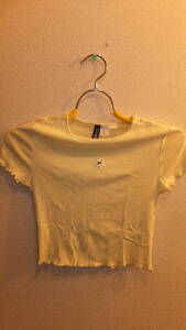 ★H&M★Ladies short sleeved stretch shirts Tops sizeXS エイチアンドエムレディース半袖シャツトップスサイズXS USED IN JAPAN レモン色