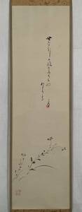 【真作】《掛軸》野菊 自画賛 共箱　俳句 日本画 書画