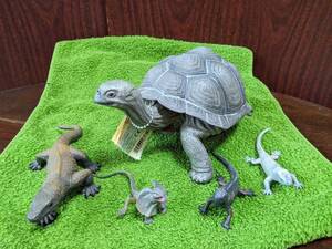動物フィギュア カメ、トカゲ類