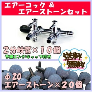 【送料込】2分岐管 10個　φ20エアーストーン 20個 セット　エアーコック 流量調整 メダカ 水槽 エアーポンプ 調整 アクア用品