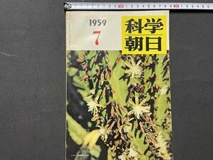 ｓ◎◎　昭和34年　7月号　科学朝日　朝日新聞社　書籍　雑誌　 / 　J14