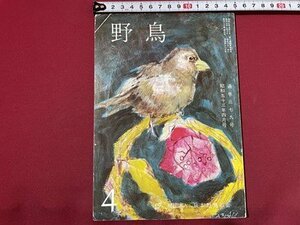 ｓ◎◎　昭和53年4月号　野鳥　日本野鳥の会　冊子　雑誌　書籍　 / 　K11