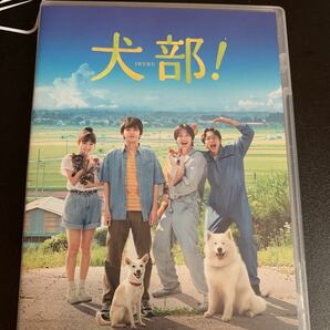 林遣都　中川大志　「犬部」Blu-ray豪華版