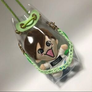 ちびぬいポーチグリーン 緑 大倉忠義大橋和也當間琉巧 細チェーン WEST. ちびスト