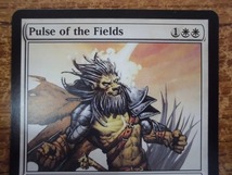 AWC323★MTG 原野の脈動/Pulse of the Fields 英語版1枚 マジック・ザ・ギャザリング_画像3