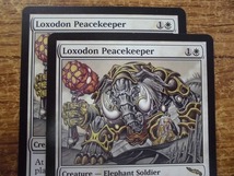 AWC333★MTG ロクソドンの平和の番人/Loxodon Peacekeeper 英語版2枚 マジック・ザ・ギャザリング_画像3