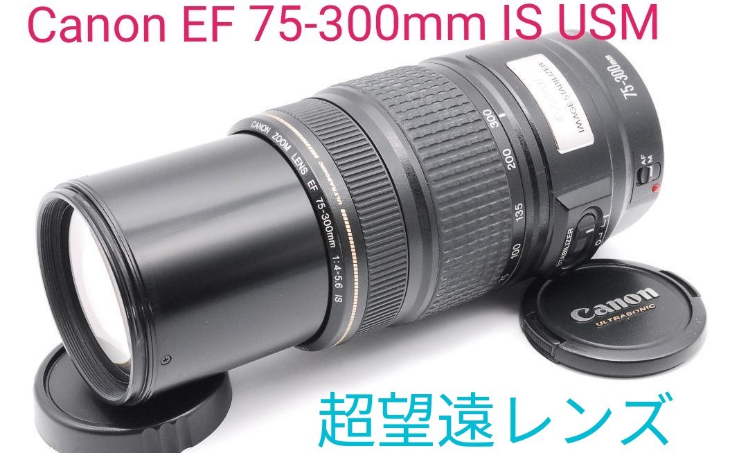 11月7日限定お値下げ Canon EF 75-300mm IS USM Yahoo!フリマ（旧）-