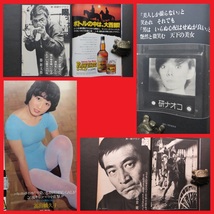 プレイボーイ 1978年 昭和53年 6/27 7/4 榊原郁恵 水沢アキ 原田美枝子 里見奈保 イブ&アンゲリカ 成瀬つぶら シェリー 高倉健 勝新太郎_画像5