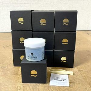 g 新品未使用 Mars Landing/マーズランディング SILVER CLEANER/シルバークリーナー 洗浄液 50g×10個セット ピンセット付き 元箱/取説あり