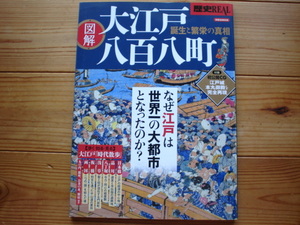 *歴史REAL　図解　大江戸八百八町　「時代散歩」　CG江戸城完全再現