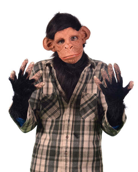 アメリカ製 ザゴーニ スタジオ ハンドメイド コスプレ 着ぐるみ モンキー 猿 仮装 変装 3点セット Zagone Studios＜Monkey-Monkey! ＞