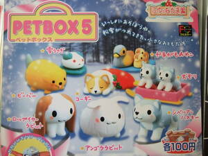 PETBOX5 pet box all 8 kind Bandai gashapon Corgi rop year rabbit Anne gola rabbit other 