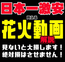 カールルイス【動画で中身を全て確認】限定①箱！130サイズ満載の手持ち+噴出系花火　納得して入札して下さいm(__)m_画像1