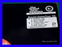 The Brand New Heavies / Dream Come True/プロモオンリー/US Original/5点以上で送料無料、10点以上で10%割引!!!/12'_画像1