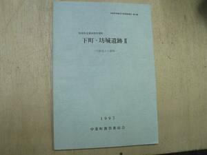 新潟県北蒲原郡中条町 下町・坊城遺跡２ 川跡出土の遺物 / 中条町教育委員会 1997年