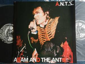 【LP】ADAM AND THE ANTS(UD6558/6559A.N.T.S.日本製キニー2枚組アダム&ジアンツ)