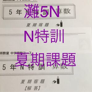 馬渕教室　灘中　5N特訓算数　夏期課題