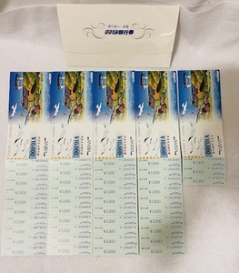 【AS 11341】AMBIA アンビア ほほえみ旅行券 額面 43000円分 ほほえみプラン 焼津 静岡 レターパックライト可