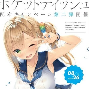 スタディステディ2 ポケットティッシュ