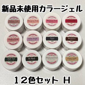 カラージェル12色セットH プチプラ