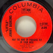 良好!! USオリジ LITTLE JIMMY DICKENS May The Bird Of Paradise Fly Up Your Nose リトル・ジミー・ディケンズ (Columbia) ロカビリー_画像1