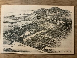 Art hand Auction PP-5592 ■Free shipping■ Panoramic view of Ninnaji Temple, Kyoto Prefecture, Floor plan, Illustration, Painting, Artwork, Shrine, Temple, Religion, Sightseeing spot ●Torn Postcard, Photo, Old photo/Kura, Printed materials, Postcard, Postcard, others