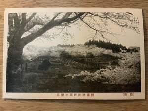 PP-5677 ■送料無料■ 宮城県 陸前 塩竈神社 塩釜神社 神苑の櫻花 桜花 春景 風景 景色 名所 名勝 絵葉書 印刷物 写真 古写真/くNAら