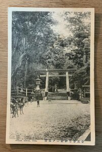 PP-5860 ■送料無料■ 奈良県 春日神社二の鳥居 灯篭 鹿 動物 神社 寺 宗教 景色 風景 大和 絵葉書 写真 古写真/くNAら