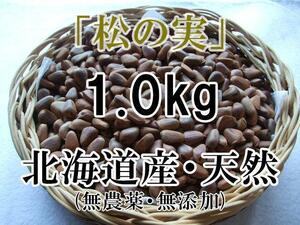 【送料無料】 北海道産 天然 松の実 1.0kg 山菜