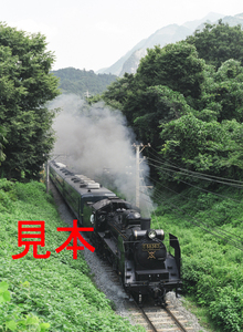 鉄道写真、645ネガデータ、155290690007、C58-363、パレオエクスプレス、秩父鉄道、浦山口〜武州中川、2008.08.14、（3216×4391）