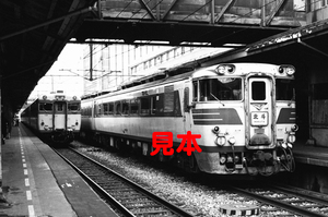 鉄道写真、35ミリネガデータ、02629800012、キハ82系＋キハ58系、特急北斗号、札幌駅、1983.07.22、（3073×2037）
