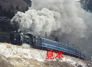 鉄道写真、645ネガデータ、113496360011、D51-498（正月しめ飾り）＋12系、JR磐越西線、磐梯熱海～中山宿、1999.01.02、（4428×3243）