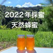 新蜜 天然蜂蜜 百花蜜 国産 蜂蜜 非加熱 生はちみつ 岐阜県産 1.1kg_画像1