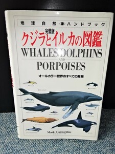 クジラとイルカの図鑑 地球自然ハンドブック マーク・カワディーン著 日本ヴォーグ社1996年第一刷発行 西本1006