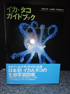 イカ・タコガイドブック 土屋光太郎文 TBSブリタニカ 帯付き 2002年初版発行 西本975