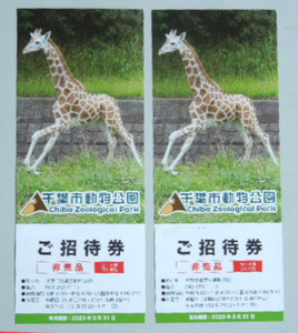 千葉市動物公園無料チケット（大人2枚）