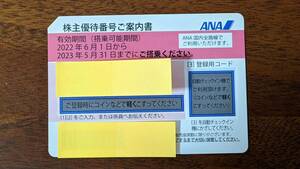 ANA株主優待券　2023/5/31 ★送料無料★
