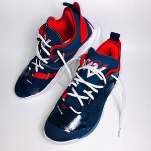 【Aランク】【超美品】NIKE JORDAN WHY NOT ZERO.4 PF 26.5 US8.5
