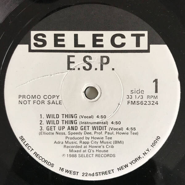 E.S.P. - Wild Thing / We Got It (USオリジナル/プロモ/Promo/ミドル)