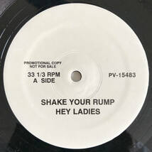 Beastie Boys - Hey Ladies (Promo)_画像2