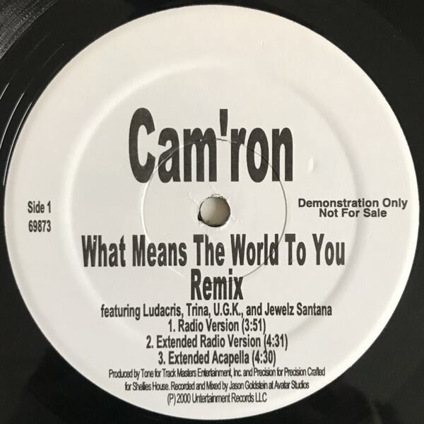 Cam'ron - What Means The World To You Remix (USオリジナル/プロモオンリー/Promo)