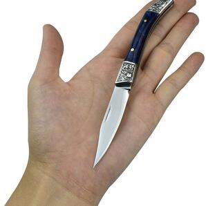 アウトドア 黒色 折りたたみナイフ 小型ミニナイフ フォールディングナイフ コレクションに最適