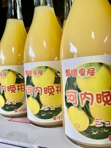 河内晩柑ジュース 6本