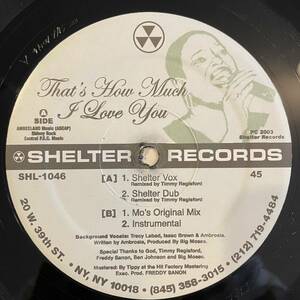 【12inch レコード】Big Moses 「That's How Much I Love You」 / shelter / timmy registered