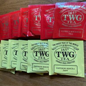 TWG紅茶 12袋セット