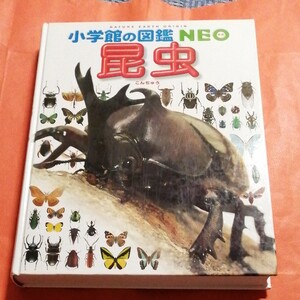 小学館の図鑑NEO 昆虫