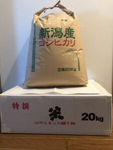 令和3年　新潟県産　コシヒカリ　白米２０ｋｇ
