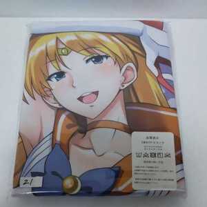 セーラームーン抱き枕カバー『同人グッズです。』 【美少女戦士セーラームーン】★ヴィーナス★です。 縦160×横50 です。NO.R21