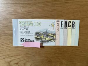 東京ディズニーランド　ビッグ10チケット　BIG10 コレクション　レトロ　レア